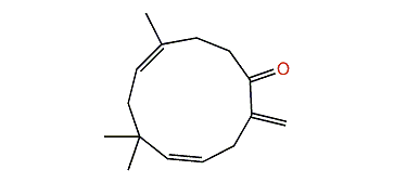 Humulenone II